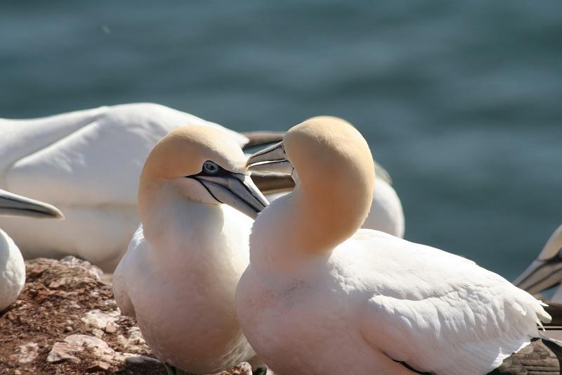 01_DP-2011-007 Bild0019c.JPG